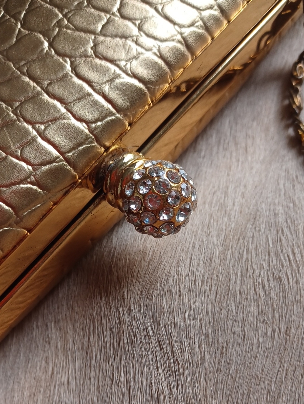 Gold Clutch - Picture 2 of 14